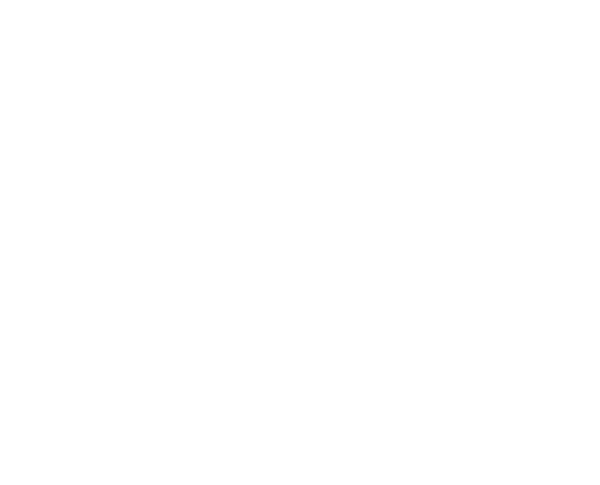 logo minicamper